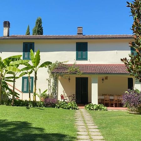 Casa Del Pino Bed and Breakfast Borgo a Buggiano Exteriör bild