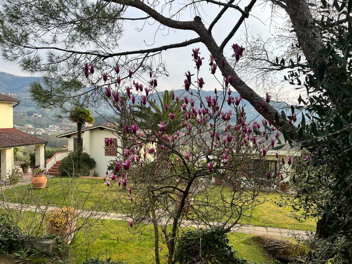 Casa Del Pino Bed and Breakfast Borgo a Buggiano Exteriör bild