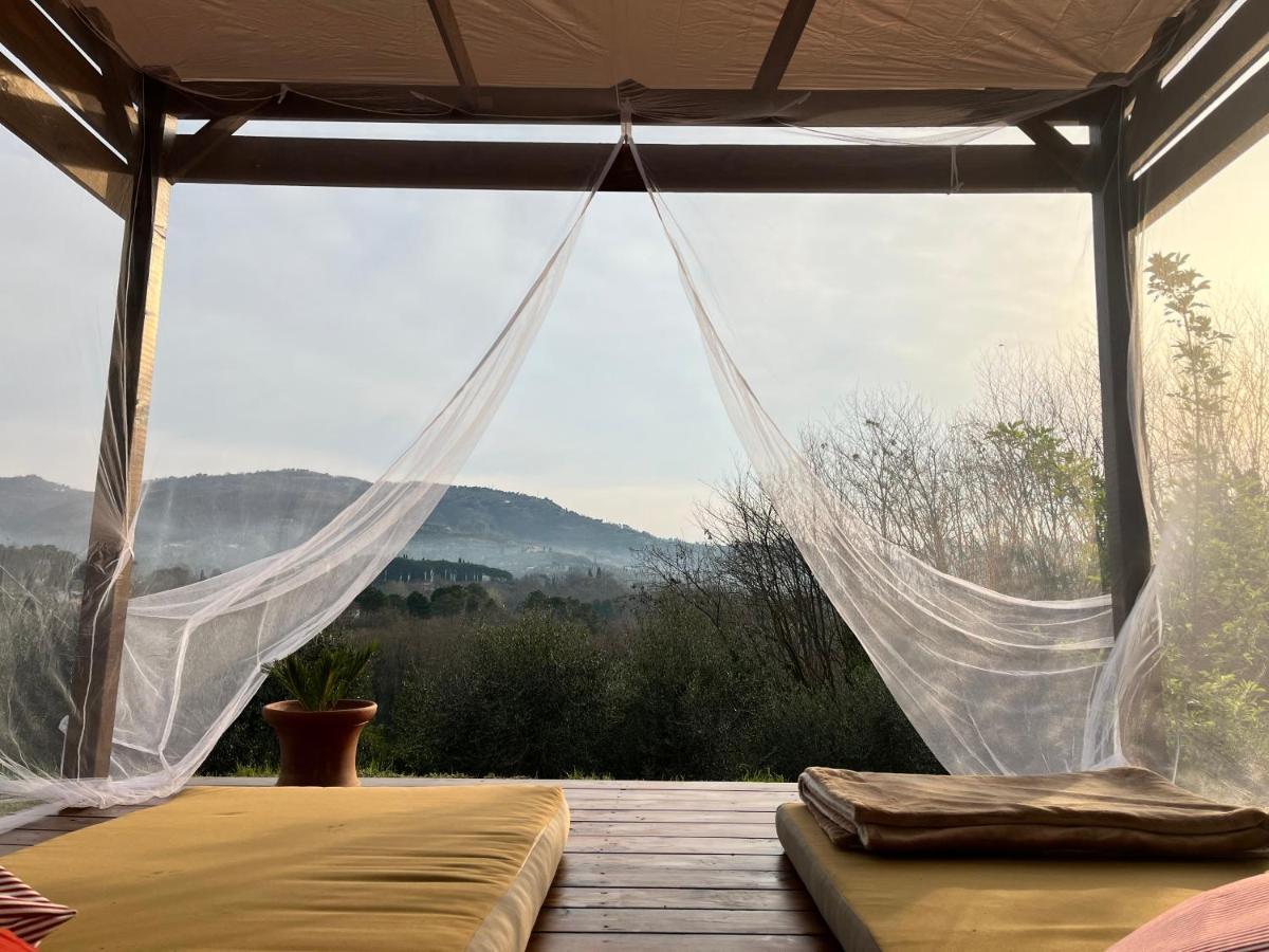 Casa Del Pino Bed and Breakfast Borgo a Buggiano Exteriör bild