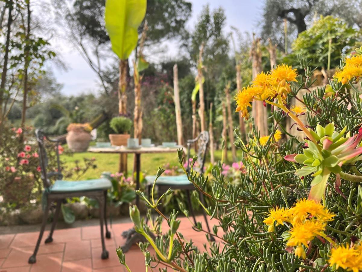 Casa Del Pino Bed and Breakfast Borgo a Buggiano Exteriör bild