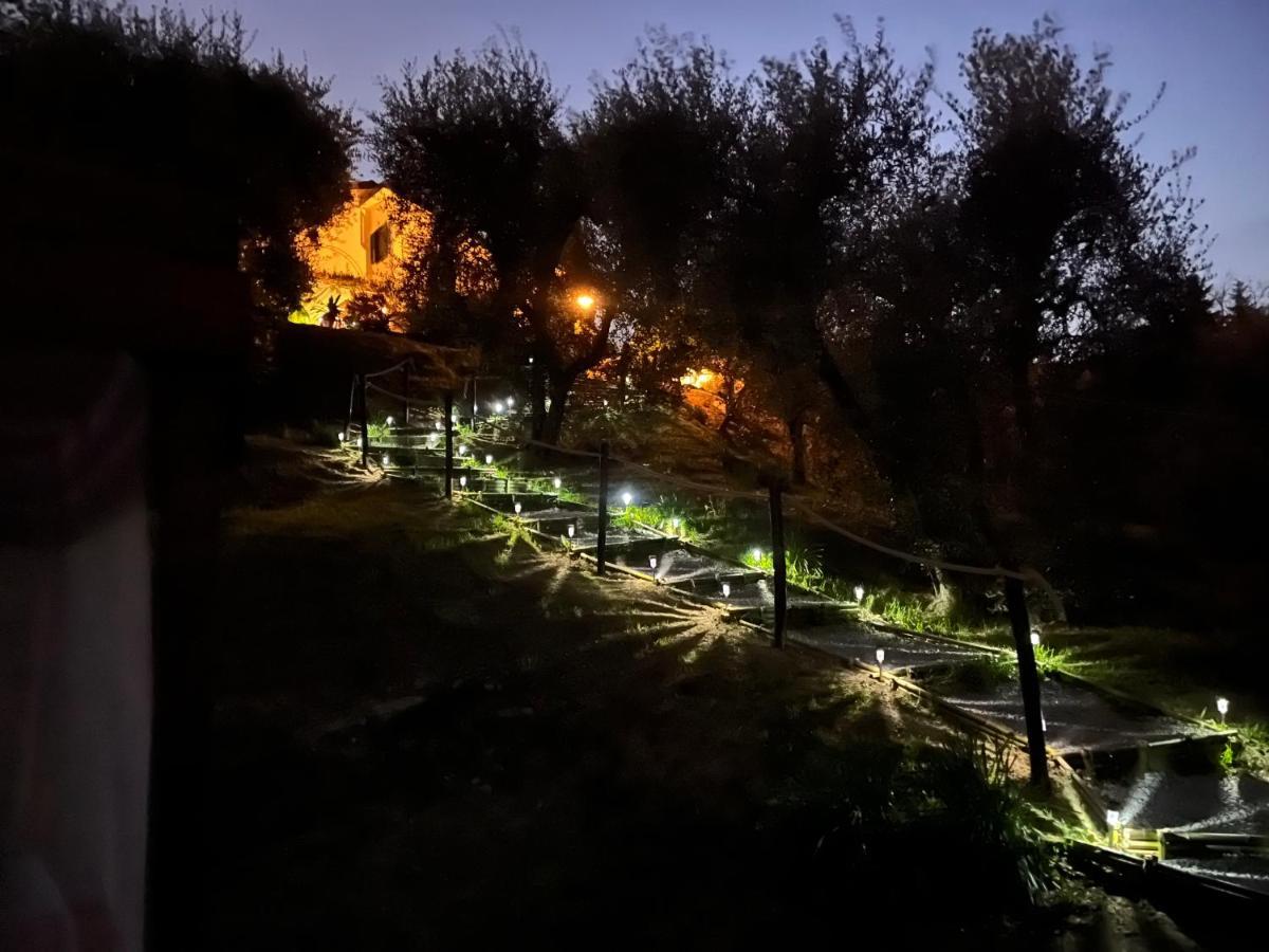 Casa Del Pino Bed and Breakfast Borgo a Buggiano Exteriör bild