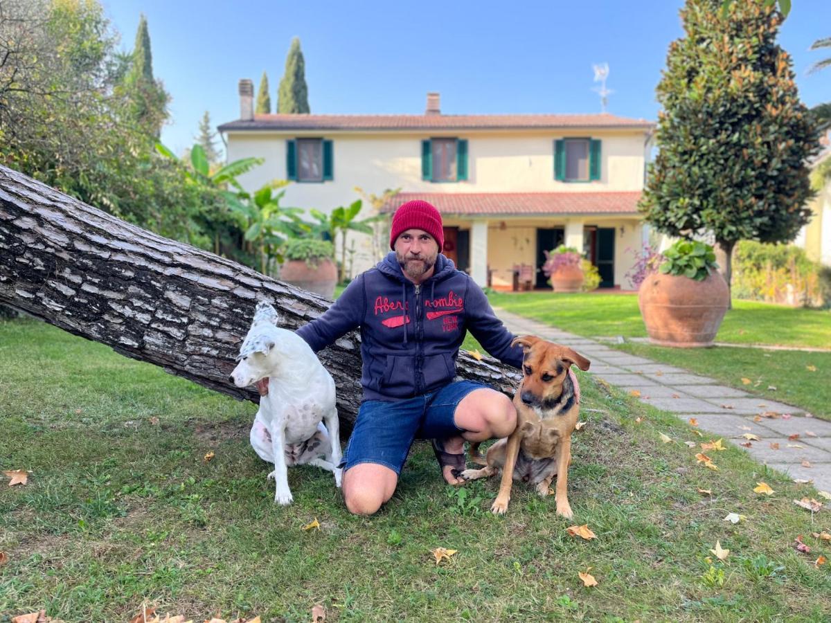 Casa Del Pino Bed and Breakfast Borgo a Buggiano Exteriör bild